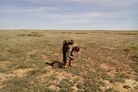 Геологическое сопровождение, геологические маршруты